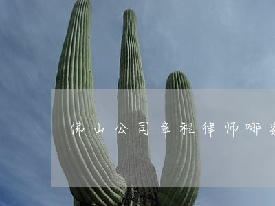 佛山公司章程律师哪家强 佛山公司章程律师哪家强
