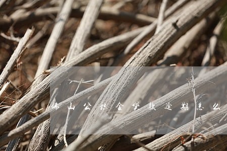 佛山公积金贷款逾期怎么办 佛山公积金贷款逾期怎么办