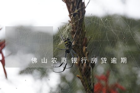 佛山农商银行房贷逾期 佛山农商银行房贷逾期