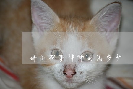 佛山刑事律师费用多少 佛山刑事律师费用多少