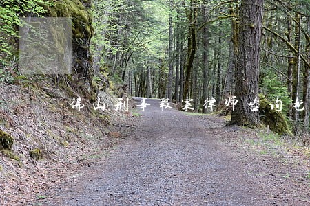佛山刑事报案律师咨询电话 佛山刑事报案律师咨询电话