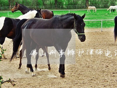 佛山刑事辩护律师电话咨询 佛山刑事辩护律师电话咨询