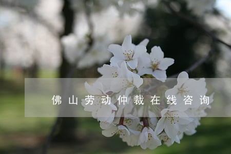 佛山劳动仲裁在线咨询