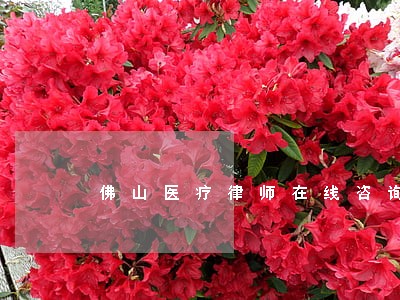 佛山医疗律师在线咨询 佛山医疗律师在线咨询