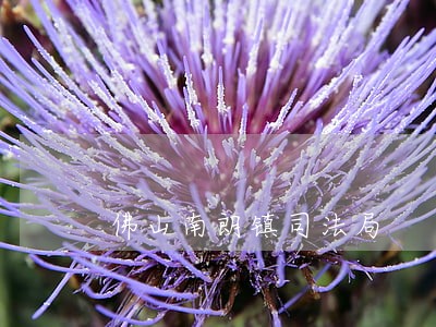 佛山南朗镇司法局 佛山南朗镇司法局