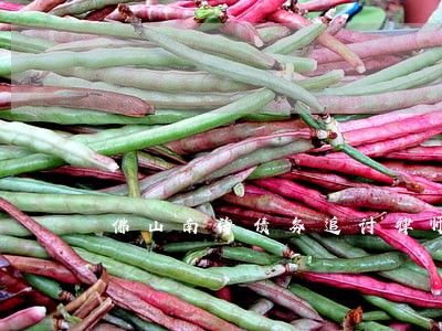 佛山南海债务追讨律师哪个好 佛山南海债务追讨律师哪个好