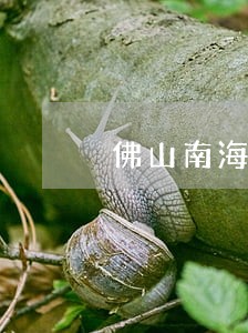 佛山南海债权债务纠纷律师价格