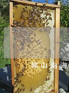 佛山南海债权债务纠纷律师费用