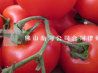 佛山南海公司合同律师怎么委托 佛山南海公司合同律师怎么委托