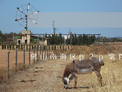 佛山南海区p2p案件律师收费 佛山南海区p2p案件律师收费