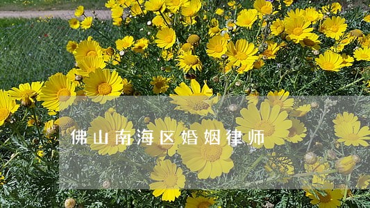 佛山南海区婚姻律师 佛山南海区婚姻律师