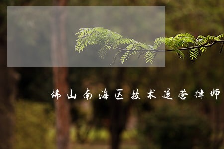 佛山南海区技术运营律师哪个好