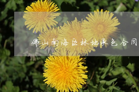 佛山南海区林地承包合同律师网 佛山南海区林地承包合同律师网