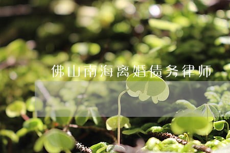 佛山南海离婚债务律师