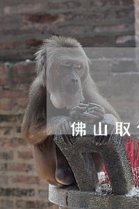 佛山取保候审保外就医律师 佛山取保候审保外就医律师