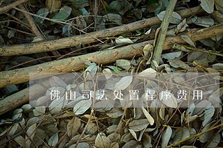 佛山司法处置程序费用 佛山司法处置程序费用