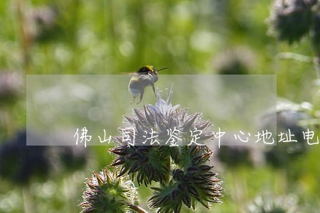 佛山司法鉴定中心地址电话 佛山司法鉴定中心地址电话