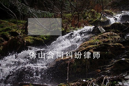 佛山合同纠纷律师