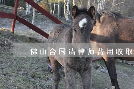 佛山合同请律师费用收取标准