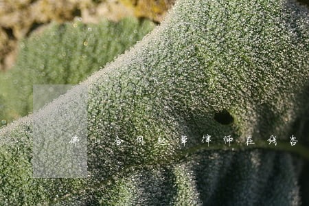 佛山合同起草律师在线咨询