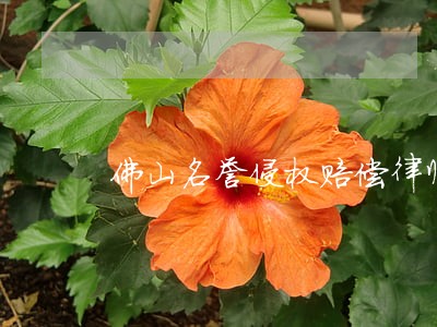 佛山名誉侵权赔偿律师信誉保障 佛山名誉侵权赔偿律师信誉保障