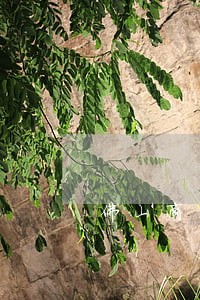 佛山商标专利律师在线咨询 佛山商标专利律师在线咨询