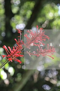 佛山商标侵权赔偿律师全网热销