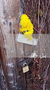佛山在线法律顾问收费 佛山在线法律顾问收费