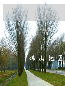 佛山地区债务追讨律师代理费 佛山地区债务追讨律师代理费