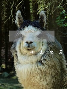佛山地区债权债务律师免费咨询 佛山地区债权债务律师免费咨询