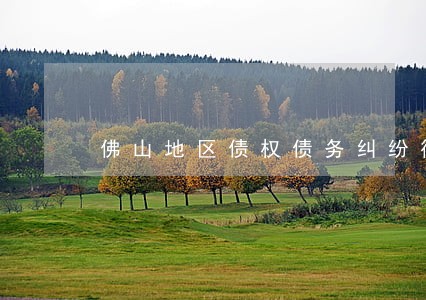 佛山地区债权债务纠纷律师哪个好 佛山地区债权债务纠纷律师哪个好