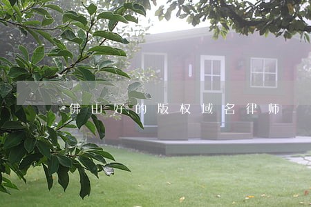 佛山好的版权域名律师