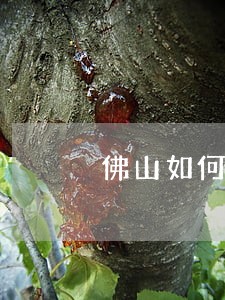 佛山如何找口碑好的借款合同律师 佛山如何找口碑好的借款合同律师