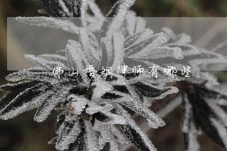 佛山婚姻律师有哪些 佛山婚姻律师有哪些
