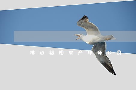 佛山婚姻房产律师公司 佛山婚姻房产律师公司