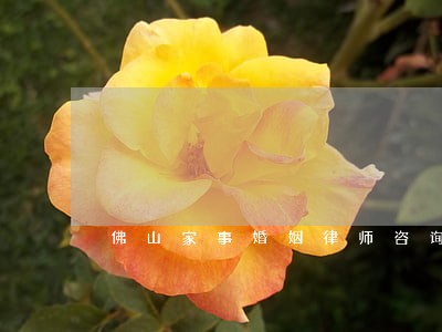 佛山家事婚姻律师咨询 佛山家事婚姻律师咨询