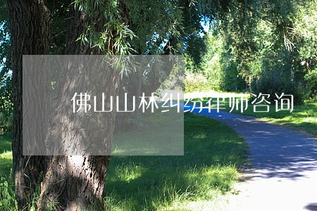 佛山山林纠纷律师咨询 佛山山林纠纷律师咨询