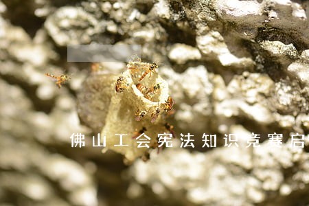 佛山工会宪法知识竞赛启动 佛山工会宪法知识竞赛启动