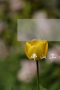 佛山工伤法律咨询平台 佛山工伤法律咨询平台