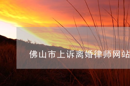 佛山市上诉离婚律师网站 佛山市上诉离婚律师网站