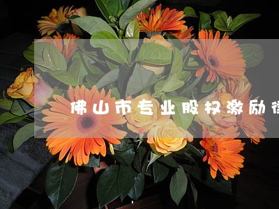佛山市专业股权激励律师 佛山市专业股权激励律师