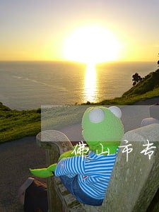 佛山市专利诉讼扶持 佛山市专利诉讼扶持