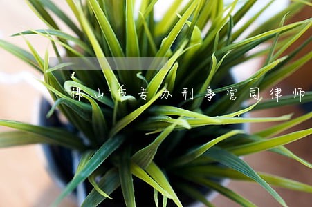 佛山市专办刑事官司律师点击了解 佛山市专办刑事官司律师点击了解