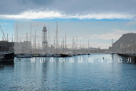 佛山市中级法院司法公开栏目