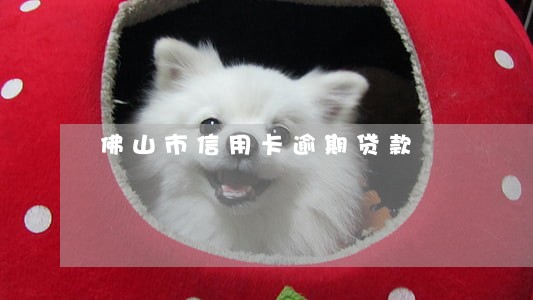 佛山市信用卡逾期贷款 佛山市信用卡逾期贷款
