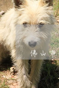 佛山市债务合同律师服务平台 佛山市债务合同律师服务平台