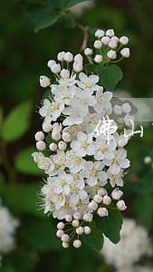 佛山市债务合同律师费怎么算 佛山市债务合同律师费怎么算