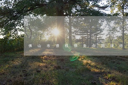 佛山市债权债务合同律师费怎么算 佛山市债权债务合同律师费怎么算