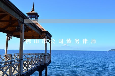 佛山市公司债务律师 佛山市公司债务律师