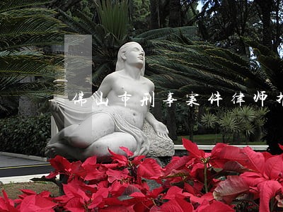 佛山市刑事案件律师推荐专业推荐 佛山市刑事案件律师推荐专业推荐